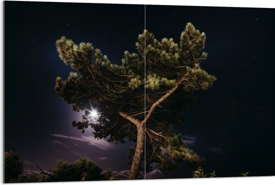 WallClassics - Acrylglas - Boom Top in Paarse Hemel - 120x80 cm Foto op Acrylglas (Met Ophangsysteem)