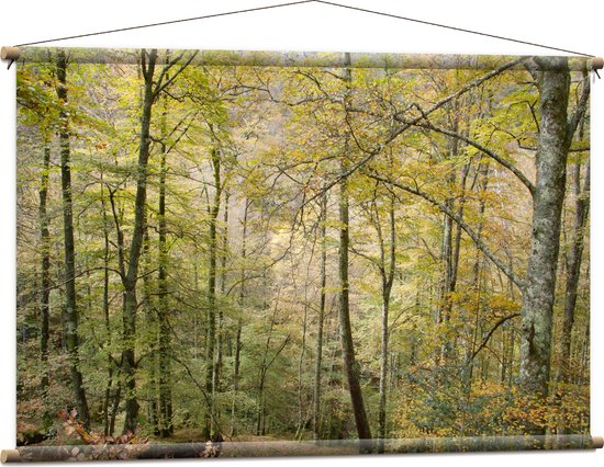 WallClassics - Textielposter - Bomen op een Helling in een Bos - 120x80 cm Foto op Textiel