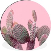 WallCircle - Wandcirkel - Muurcirkel - Cactus - Planten - Zomer - Aluminium - Dibond - ⌀ 30 cm - Binnen en Buiten