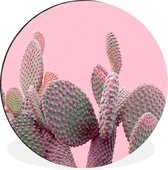 WallCircle - Cercle Mural - Cercle Mural - Cactus - Plantes - Été - Aluminium - Dibond - 30x30 cm - Intérieur et Extérieur