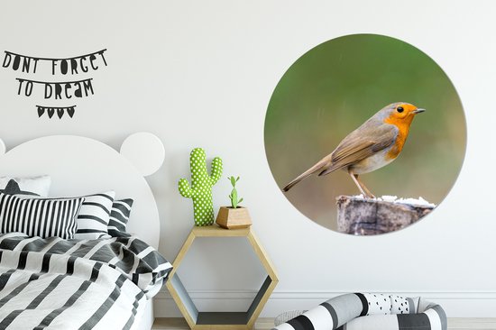 Cercle Mural - Cercle Mural - Animaux - Vogel - Rouge-gorge - Aluminium - Dibond - 140x140 cm - Intérieur et Extérieur