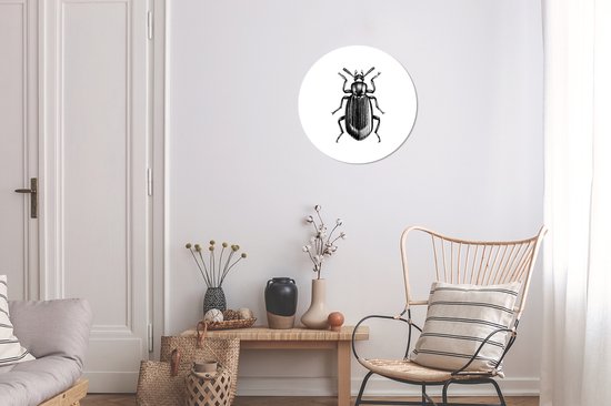 WallCircle - Cercle Mural - Cercle Mural - Scarabée - Animaux - Vintage - Aluminium - Dibond - 30x30 cm - Intérieur et Extérieur