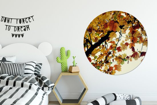 WallCircle - Wall Circle - Wall Circle Indoor - Arbres - Feuilles d'Automne - Nature - 120x120 cm - Décoration murale - Peintures Ronds XXL