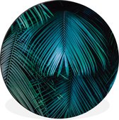 WallCircle - Wandcirkel - Muurcirkel - Palmblad - Tropisch - Natuur - Jungle - Aluminium - Dibond - ⌀ 120 cm - Binnen en Buiten XXL