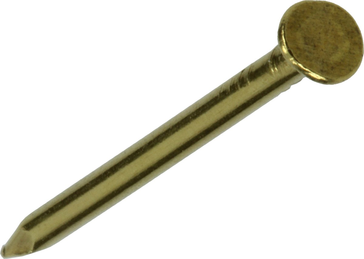 SAM Nagel platte kop Staal Onbehandeld 1,6x25mm 20 stuks
