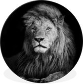 WallCircle - Cercle mural - Cercle mural - Animaux sauvages - Lion - noir - Wit - Aluminium - Dibond - 60x60 cm - Intérieur et Extérieur