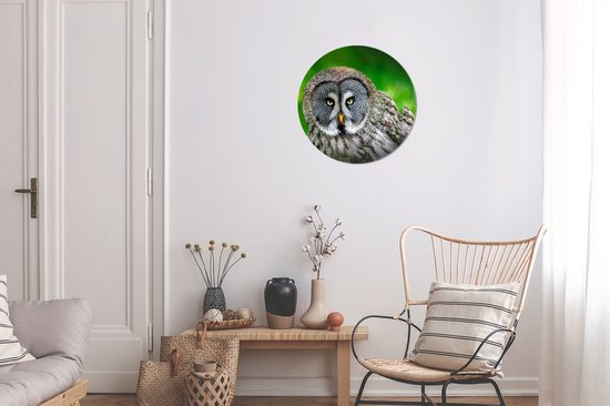 WallCircle - Cercle mural - Cercle mural - Vogel - Hibou - Animaux - Plastique - 30x30 cm - Cercle mural intérieur - Décoration murale ronde - Tableaux ronds