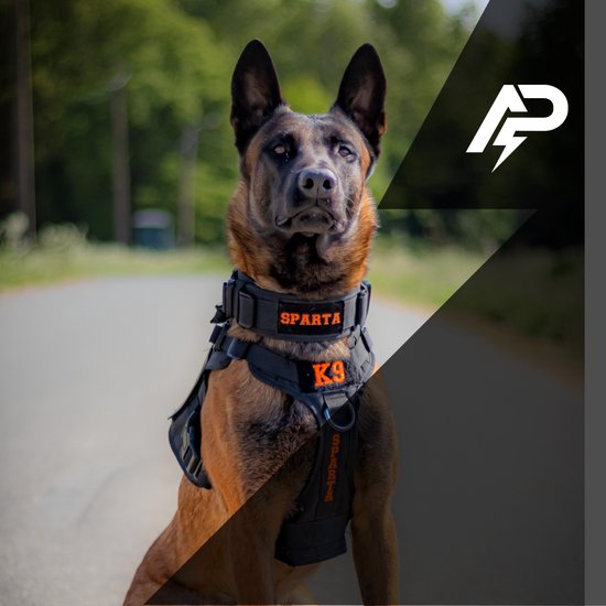 Halsband + Tuig Hond Met Naam - Honden halsband + Honden Harnas Geborduurd  - Tactical... | bol.com