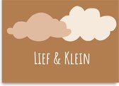 Wenskaart - Lief & Klein - Geboorte