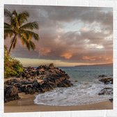 WallClassics - Muursticker - Tropisch Strand - 80x80 cm Foto op Muursticker