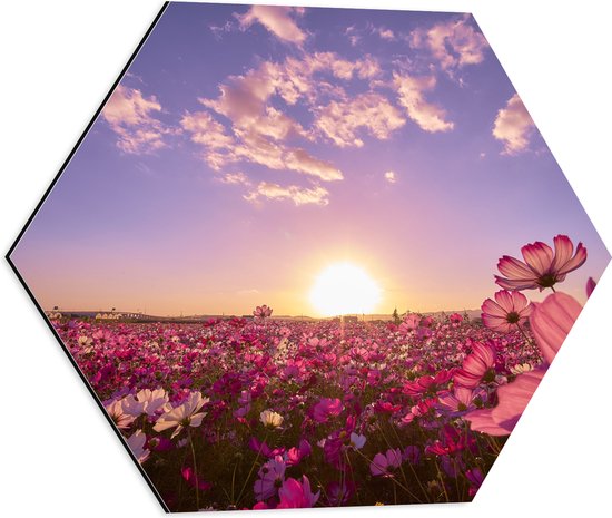WallClassics - Dibond Hexagon - Veld Roze Bloemen met Paarse Lucht - 50x43.5 cm Foto op Hexagon (Met Ophangsysteem)