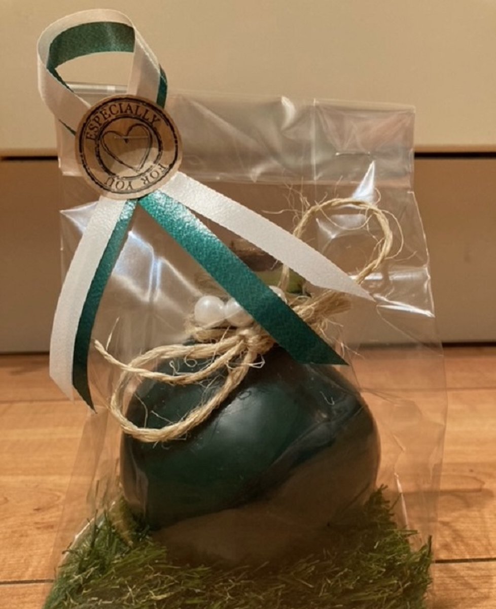 Wax Amaryllis Groen in leuke geschenkverpakking - cadeautje - kerstcadeau - wax bol - cadeau verpakking - kadootje