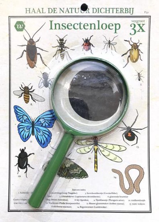 Vergrootglas Insect Viewer Box - Ontdek De Natuur Met