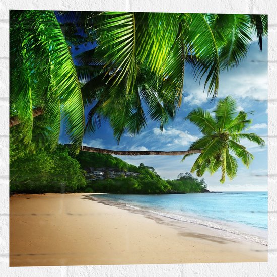 WallClassics - Muursticker - Palmbomen aan het Strand - 50x50 cm Foto op Muursticker