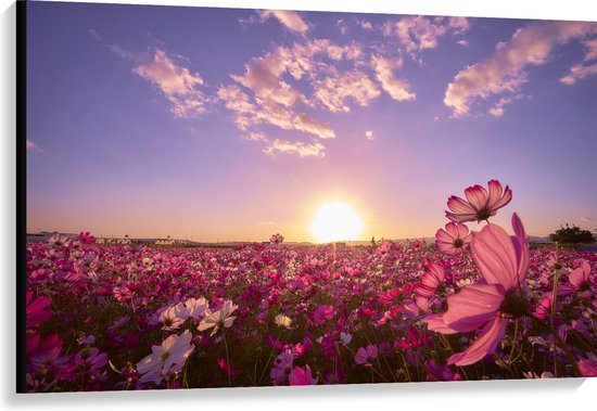 WallClassics - Canvas  - Veld Roze Bloemen met Paarse Lucht - 120x80 cm Foto op Canvas Schilderij (Wanddecoratie op Canvas)