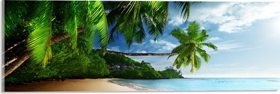 WallClassics - Verre acrylique - Palmiers sur la plage - 60x20 cm Photo sur verre acrylique (Décoration murale sur acrylique)