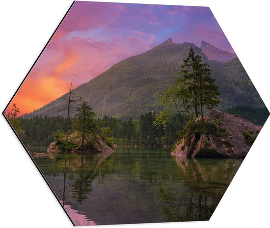 WallClassics - Dibond Hexagon - Meer bij Bos en Bergen - 60x52.2 cm Foto op Hexagon (Met Ophangsysteem)