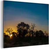 Wanddecoratie Metaal - Aluminium Schilderij Industrieel - Silhouet van bomen bij zonsondergang in Krugerpark Zuid-Afrika - 160x120 cm - Dibond - Foto op aluminium - Industriële muurdecoratie - Voor de woonkamer/slaapkamer