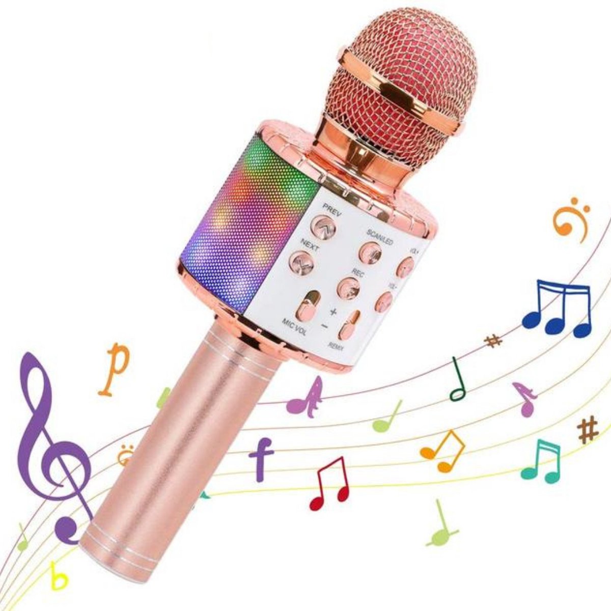 SunLion® Karaoke Microfoon - Bluetooth - Draagbaar - Opname Functie