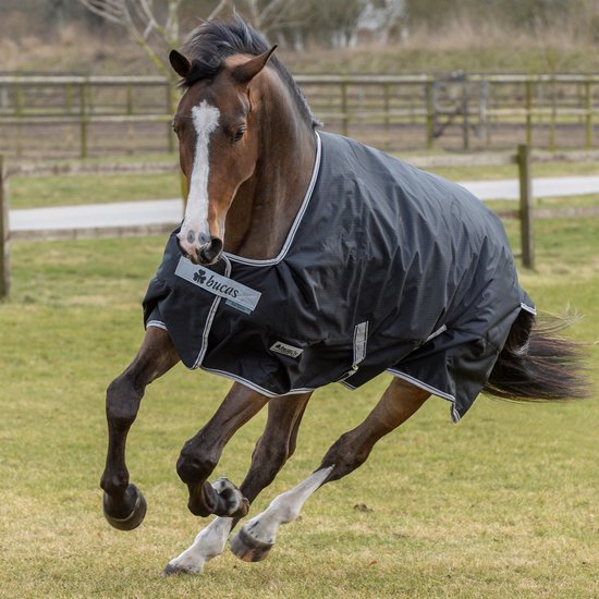 Foto: Bucas anniversary turnout light sd regendeken paardendeken zwart 195