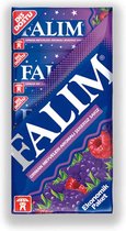 Falim Forest Fruit kauwgum 20 x 5 stuks (100 stuks Suikervrije Kauwgom)