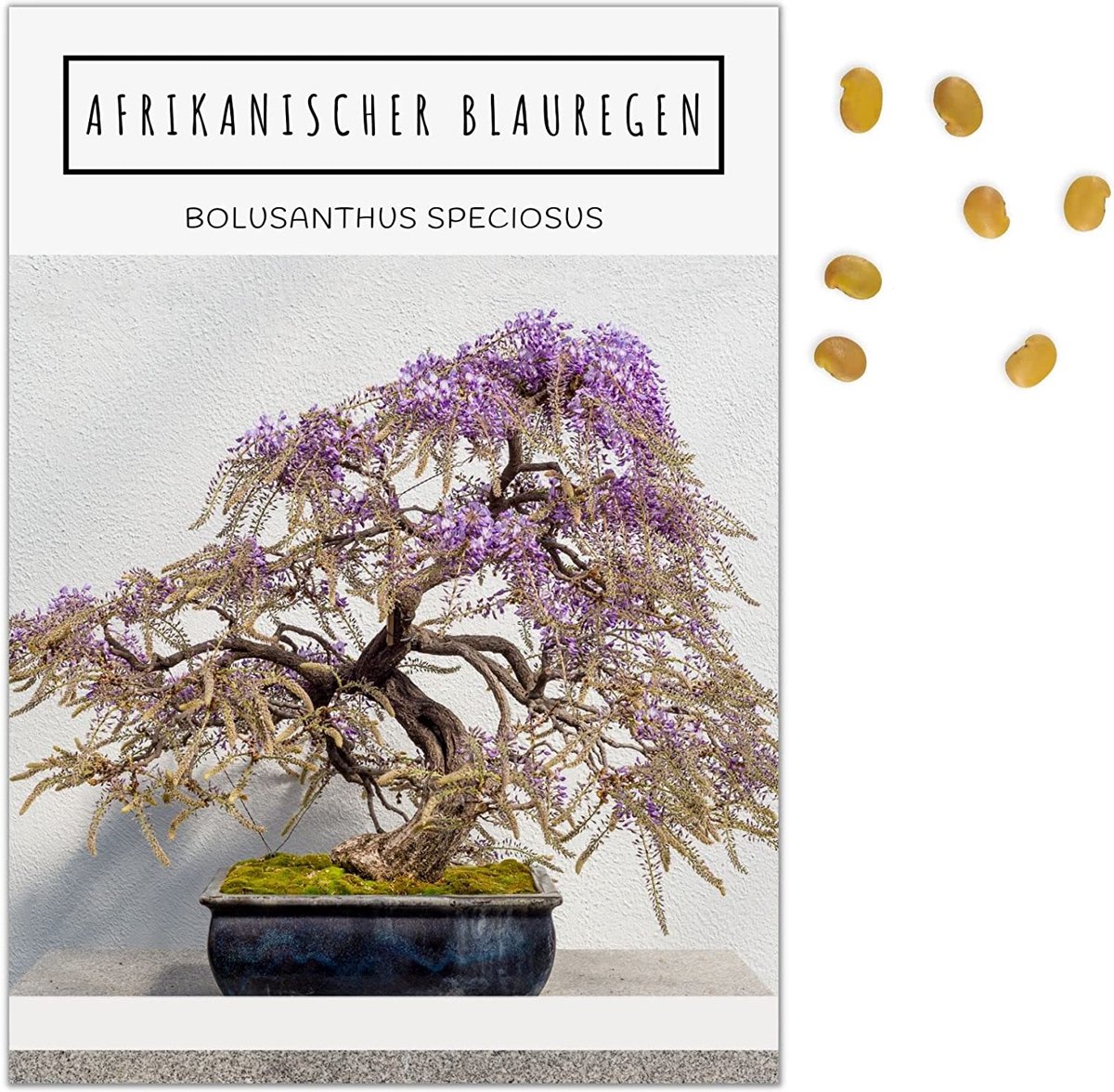 Exotische Bonsai Zaden met hoge kiemkracht Plantenzaden set voor je