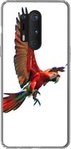 Geschikt voor OnePlus 8 Pro hoesje - Ara - Vogel - Portret - Siliconen Telefoonhoesje