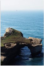 WallClassics - Poster Glossy - Rock with Green in Ocean - 70x105 cm Photo sur Papier Poster avec Finition Brillante