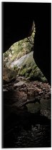WallClassics - Dibond - Kleine Donkere Grot in het Bos - 20x60 cm Foto op Aluminium (Wanddecoratie van metaal)