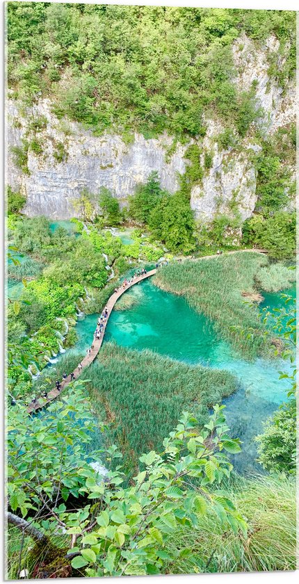 WallClassics - Acrylglas - Plitvice Lakes National Park in Kroatie  - 50x100 cm Foto op Acrylglas (Met Ophangsysteem)