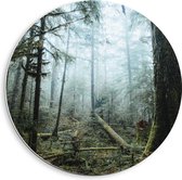 WallClassics - Cercle mural en panneau de mousse PVC - Branches au Terre d'une forêt brumeuse - Photo 40x40 cm sur cercle mural (avec système d'accrochage)