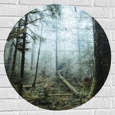 WallClassics - Muursticker Cirkel - Takken op Grond van Mistig Bos - 70x70 cm Foto op Muursticker