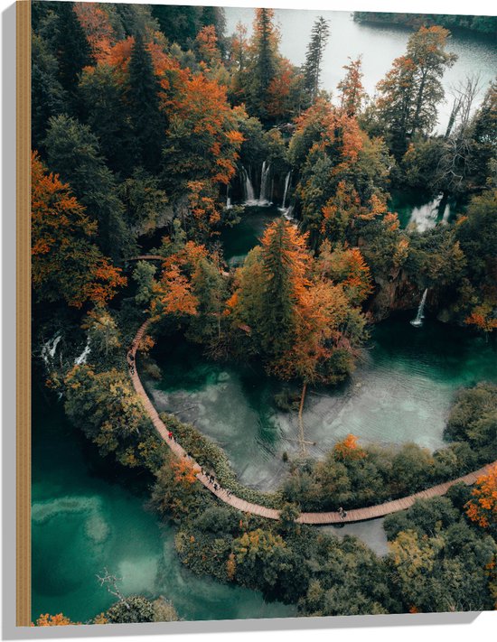 WallClassics - Bois - Pont traversant le parc naturel avec Chutes d'eau - 60x80 cm - 12 mm d'épaisseur - Photo sur bois (avec système de suspension)