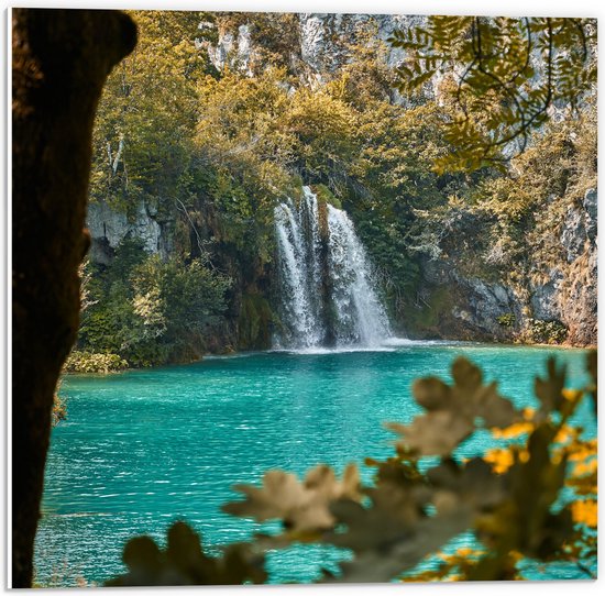 Facile à Couper Mousse Multifonctionnel Feuille De Mousse