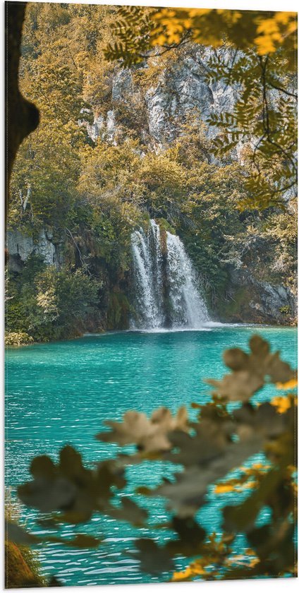 WallClassics - Vlag - Kleine Waterval in Meer met Takken - 50x100 cm Foto op Polyester Vlag