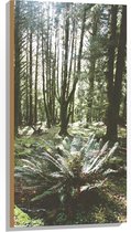 WallClassics - Hout - Grote Groene Varenplant in Bos - 50x100 cm - 12 mm dik - Foto op Hout (Met Ophangsysteem)