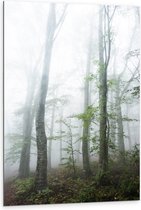 WallClassics - Dibond - Kale Bomen in de Mist - 80x120 cm Foto op Aluminium (Met Ophangsysteem)