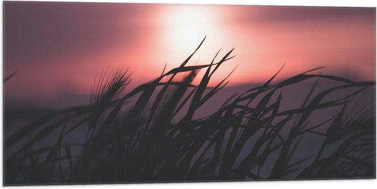 WallClassics - Vlag - Donkere Grassen bij Rozekleurige Lucht - 100x50 cm Foto op Polyester Vlag