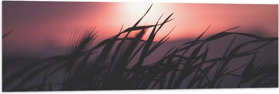 WallClassics - Vlag - Donkere Grassen bij Rozekleurige Lucht - 120x40 cm Foto op Polyester Vlag