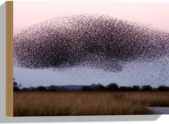 WallClassics - Hout - Grote Zwerm Vogels in de Lucht - 40x30 cm - 12 mm dik - Foto op Hout (Met Ophangsysteem)