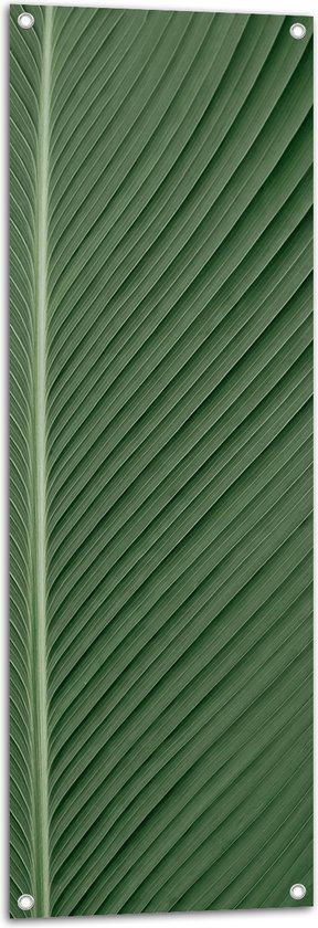 WallClassics - Poster de Jardin - Gros plan de Veines sur Feuille - 40x120 cm Photo sur Poster de Jardin (décoration murale pour l'extérieur et l'intérieur)