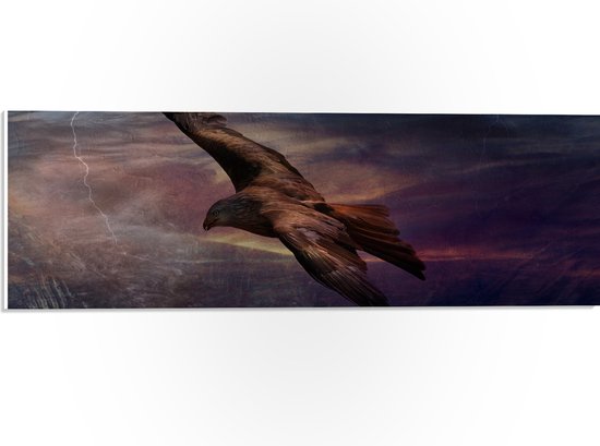 WallClassics - PVC Schuimplaat - Golden Eagle Vliegend - 60x20 cm Foto op PVC Schuimplaat (Met Ophangsysteem)