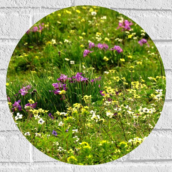 WallClassics - Muursticker Cirkel - Gekleurde Bloemetjes tussen het Groene Gras - 40x40 cm Foto op Muursticker