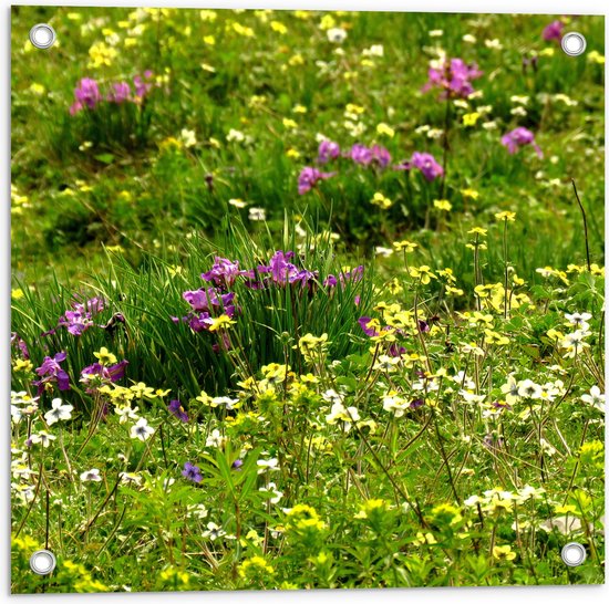 WallClassics - Tuinposter – Gekleurde Bloemetjes tussen het Groene Gras - 50x50 cm Foto op Tuinposter  (wanddecoratie voor buiten en binnen)