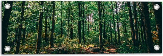 WallClassics - Poster de Jardin - Feuilles Vertes sur Grands Arbres - 60x20 cm Photo sur Poster de Jardin (décoration murale pour l'extérieur et l'intérieur)