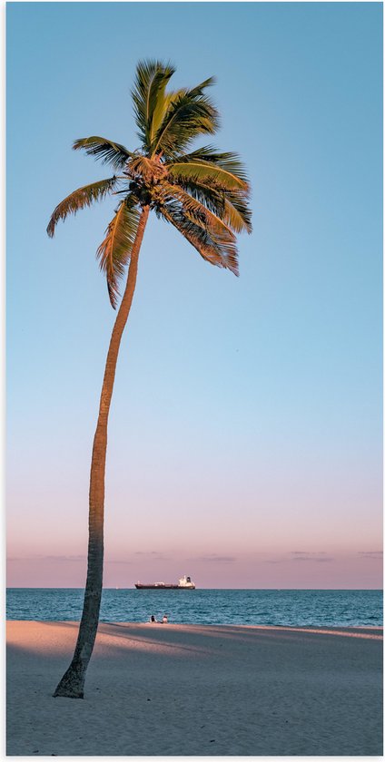 WallClassics - Poster (Matte) - Palmier Solitaire - 50x100 cm Photo sur Papier Poster avec un aspect Mat