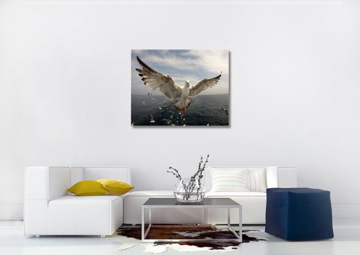 Maritiem Canvas Schilderij - vogels van de zee - Pedro Rappé - Schilderijen op canvas - Canvas doek - 60x80 cm - Wanddecoratie - Woonkamer