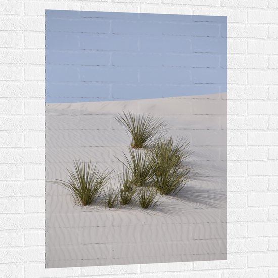WallClassics - Muursticker - Grassen in het Zand in Duinen - 80x120 cm Foto op Muursticker