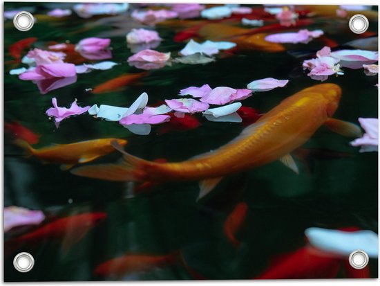 WallClassics - Poster de Jardin - Poisson Rouge dans Water avec Pétales de Fleurs - 40x30 cm Photo sur Poster de Jardin (décoration murale pour l'extérieur et l'intérieur)