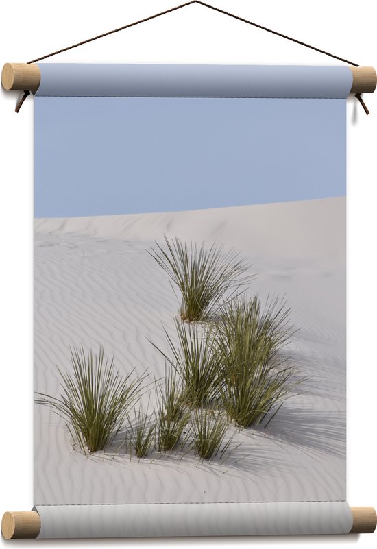 WallClassics - Textielposter - Grassen in het Zand in Duinen - 30x40 cm Foto op Textiel